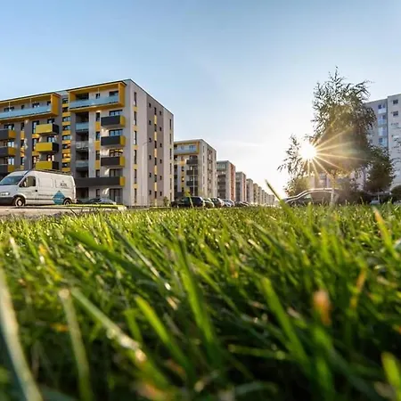 Avantgarden Brasov, Perfect - 1 * Braşov