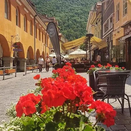 Apartman Avantgarden Brasov, Perfect - 1