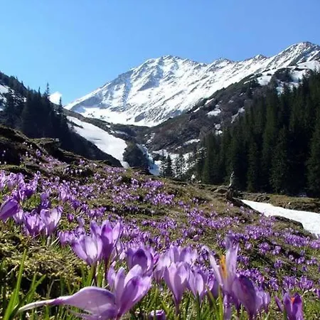 Апартаменты Avantgarden Brasov, Perfect - 1
