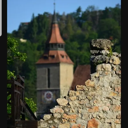 Avantgarden Brasov, Perfect - 1 * Braşov