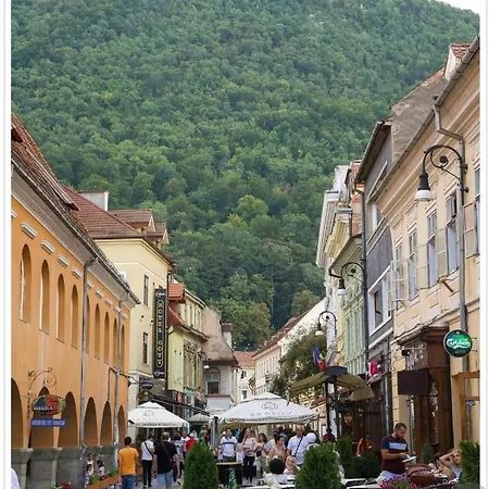 Avantgarden Brasov, Perfect - 1 *