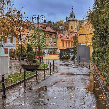 Avantgarden Brasov, Perfect - 1 براشوف