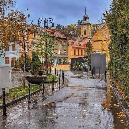 Avantgarden Brasov, Perfect - 1 Brasov