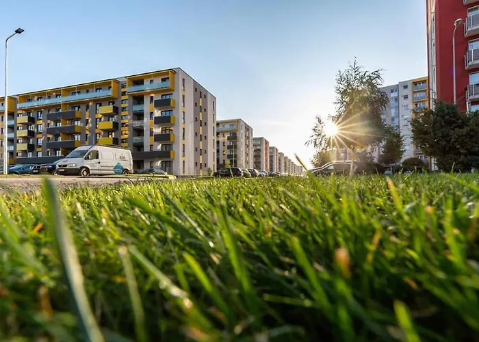 Avantgarden Brasov, Perfect - 1 * Brasov