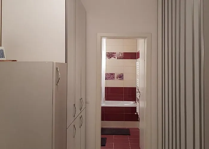 Avantgarden Brasov, Perfect - 1 * Brasov