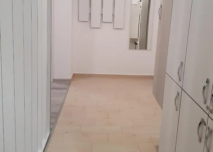 Avantgarden Brasov, Perfect - 1 * Brasov