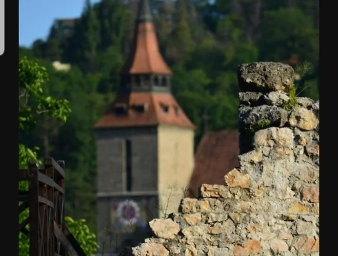 Avantgarden Brasov, Perfect - 1 * Brasov