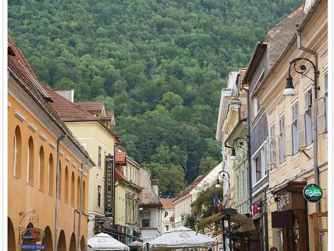 Avantgarden Brasov, Perfect - 1 *