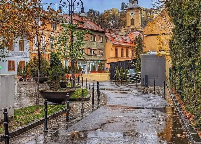 Avantgarden Brasov, Perfect - 1 Brasov